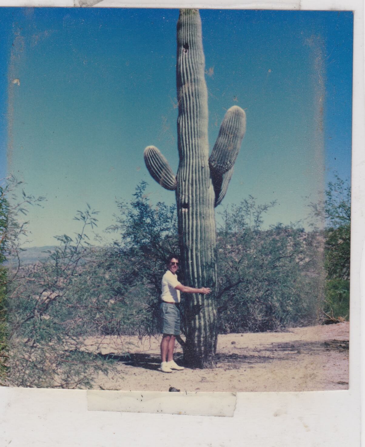 The cactus he would bring me from Arizona