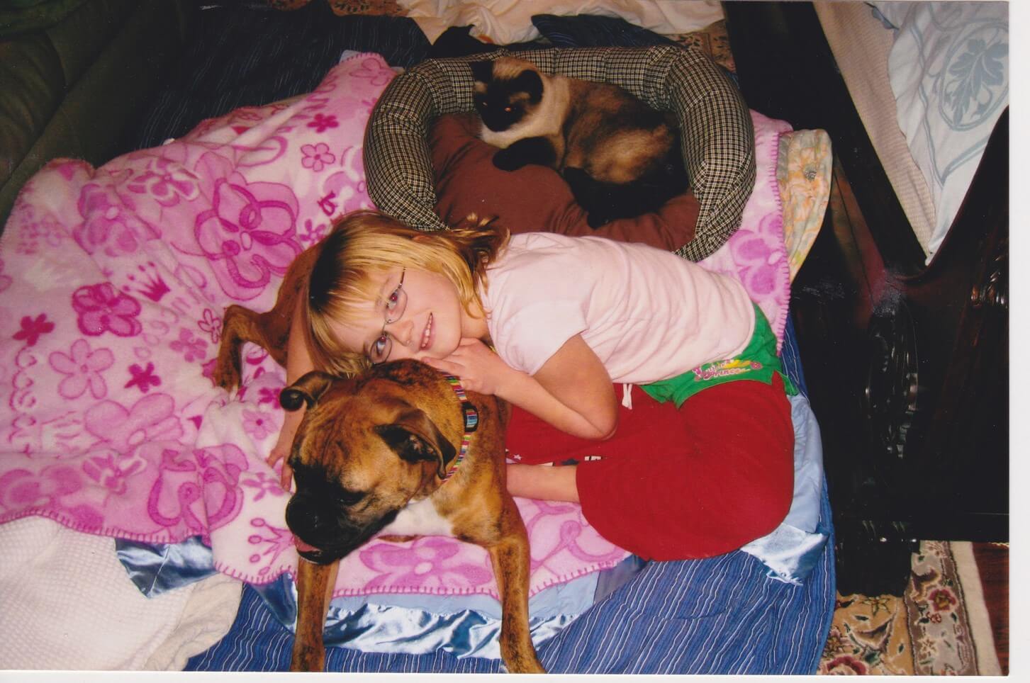 For years our family slept together in the Master bedroom- pets and all